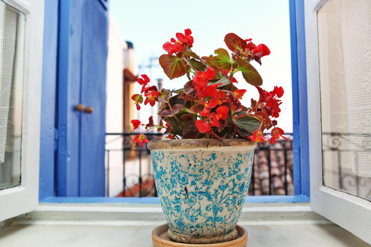 Rodia House Βίλα Γλώσσα Εξωτερικό φωτογραφία
